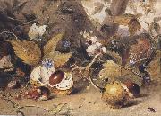 Elizabeth Byrne Still-life with horse chestnuts and insects (mk47) oil painting on canvas